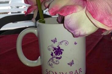 Bed and Breakfast Sony Affittacamere