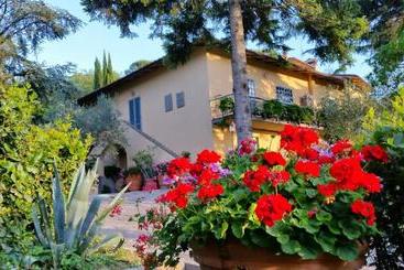 B&b Ulivi Di Castello