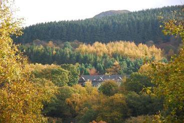 تختخواب و صبحانه The Slate Shed At Graig Wen