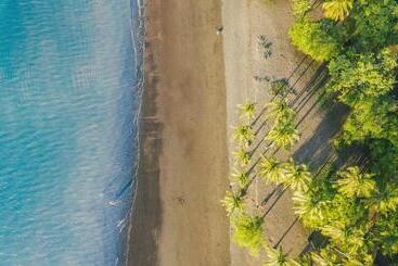 酒店 Papagayo Golden Palms Beachfront