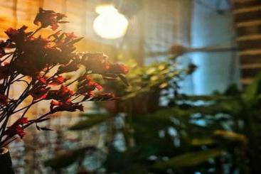 I M Waiting For You In Guilin Hostel