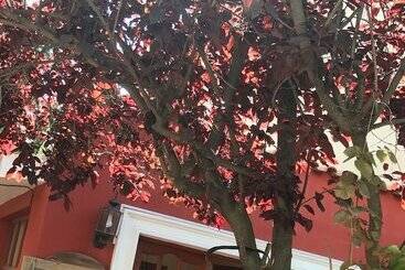 Anami Hotel Boutique