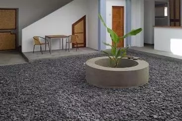 Bed and Breakfast Casa Patio