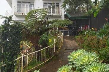 住宿加早餐  Misty Paradise Of Lake Gregory