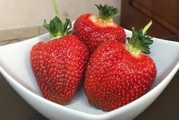 La Corte D Emilio B&b