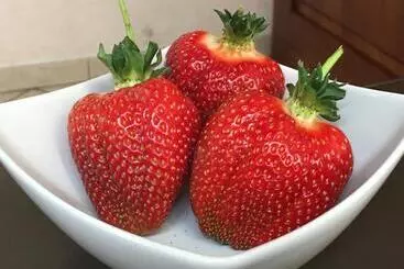 La Corte D Emilio B&b