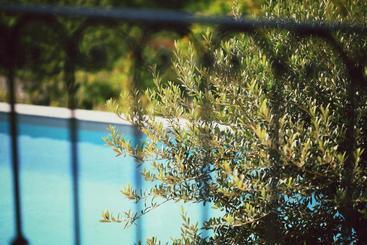 فندق Bonheur & Boheme