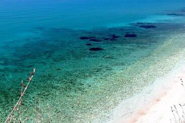 ホテル White Rock Apartments