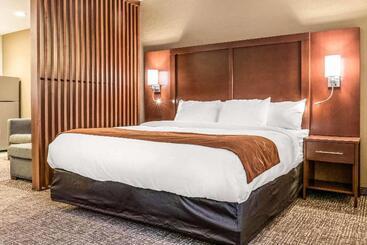 هتل Comfort Suites Florence Cincinnati South