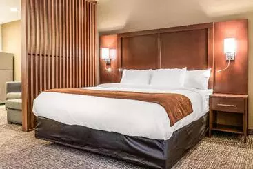 هتل Comfort Suites Florence  Cincinnati South