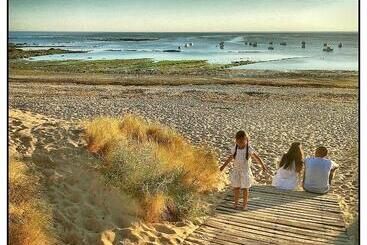 ホテル Hôtel De La Petite Plage