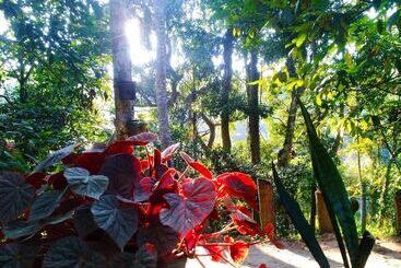 ホテル Walkers Nest