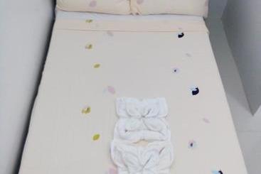 酒店 Chelle S Apartelle Inn