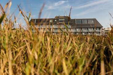 Wyn. Strandhotel Sylt