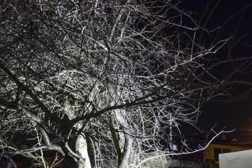 בית מלון כפרי O Pazo