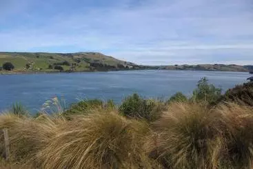 Hotel Catlins Lake Sanctuary