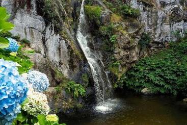 هتل Passal Hostel