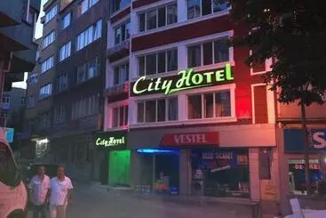Hotel Bursa City