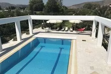 Pensão Olive Mansion Suites