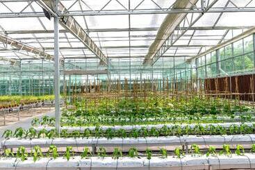 Novotel Suzhou Tai Lake Santeh