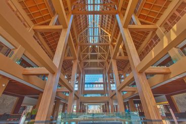 Hotel Mangrove Tree Resort World Sanya Bay  Queen Palm Towers