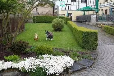 Luisengarten Pension Garni