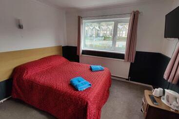 پانسیون Llwynygog Guest House