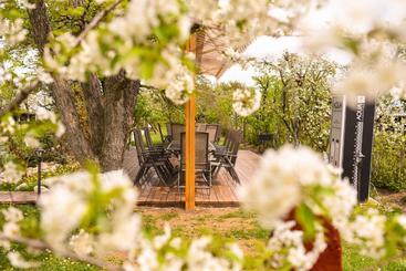 بنسيون Stupina