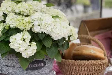 هتل La Ferme De Durbuy