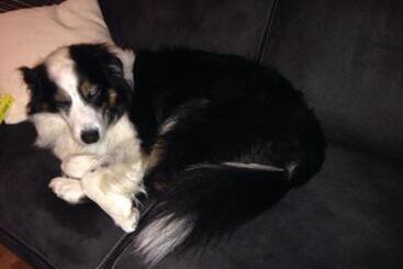 Пансион Gasthof Böhm