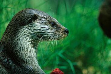 アパートホテル Doña Ruidera