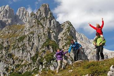 מלון דירות Das Filzmoos