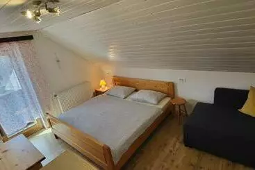 پانسیون Apartments & Hostel Bohinj