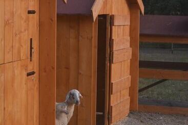 هتل Podere Delle Fanciulle