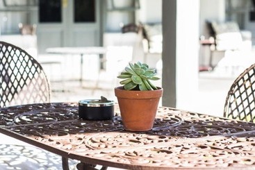 פנסיון Burrough Place