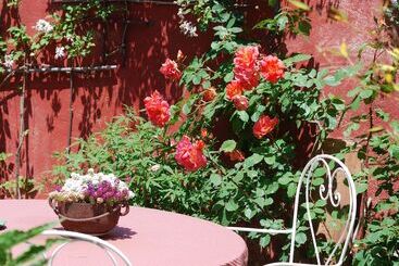 膳宿费 Sous Les Canniers