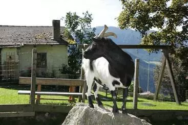 アパートホテル Gspoi Hof