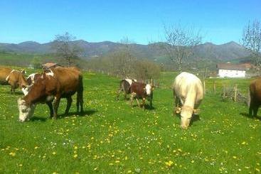 Hotel Apartamentos Rurales Kastonea