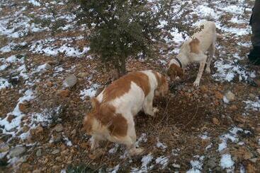 פנסיון La Casa De La Estación