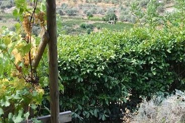בית מלון כפרי Agriturismo Uliveto Saglietto