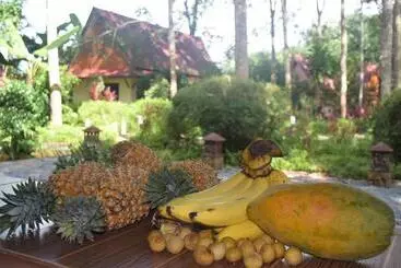 Pensão Manora Garden