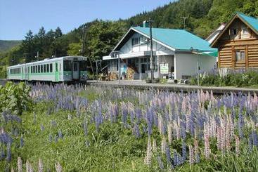 פנסיון Ekinoyado Hirafu