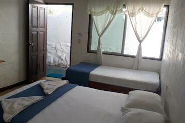 Pension (Hôtel basse catégorie) Hostal Darwin B&b