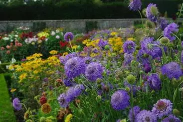 Hotelli House Arundel