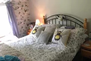 Forest View Bed And Breakfast