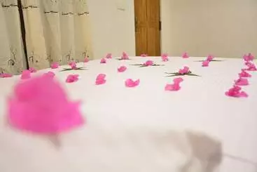 ホテル Jaye Eco Lodge