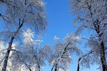 Hotel Complejo Turistico Los Hualles