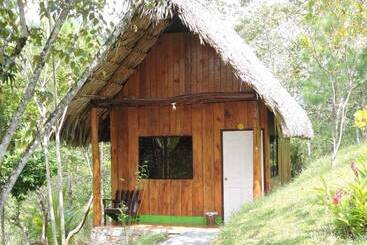 هاستل Oasis The Traveler