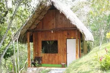 Hostel Oasis The Traveler