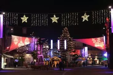 ホテル Restaurant La Tour Romaine   Haguenau   Strasbourg Nord